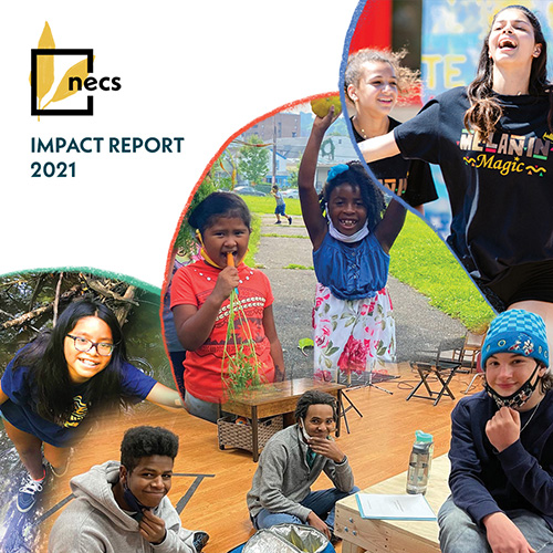 NECS_Impact_Report_2021
